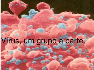 v rus um grupo a parte