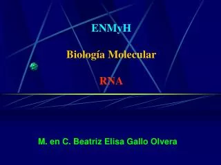 enmyh biolog a molecular rna