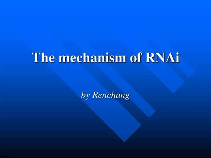 the mechanism of rnai