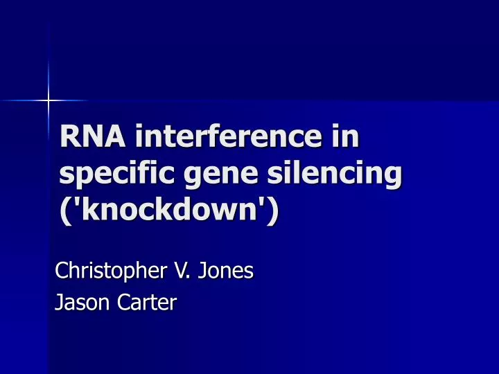 rna interference in specific gene silencing knockdown