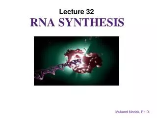RNA Synthesis