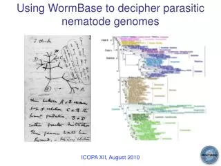 Using WormBase to decipher parasitic nematode genomes