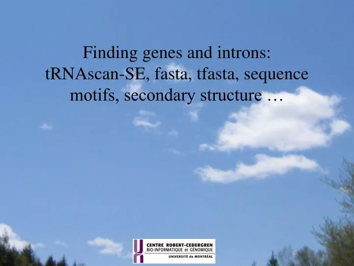finding genes and introns trnascan se fasta tfasta sequence motifs secondary structure