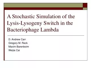 A Stochastic Simulation of the Lysis-Lysogeny Switch in the Bacteriophage Lambda