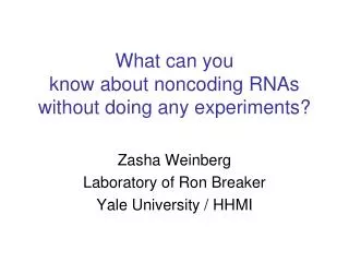 What can you know about noncoding RNAs without doing any experiments?