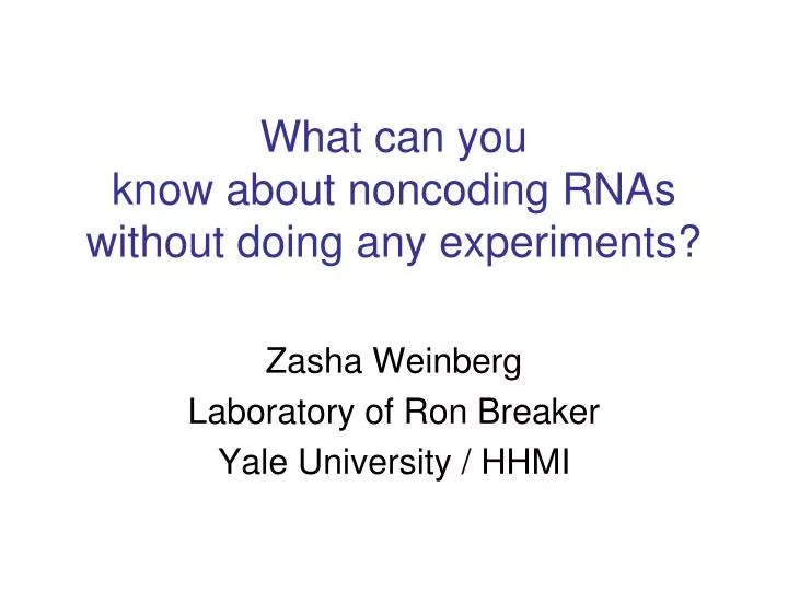 what can you know about noncoding rnas without doing any experiments