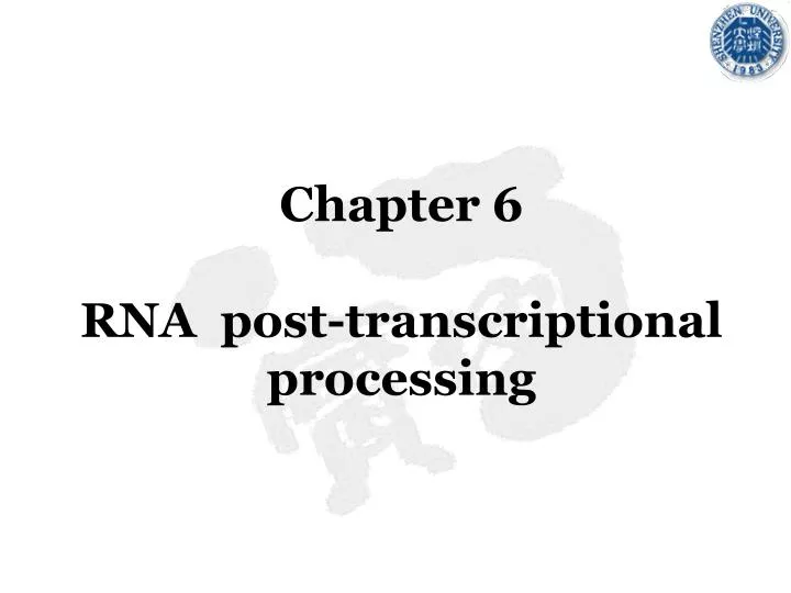 chapter 6 rna post transcriptional processing
