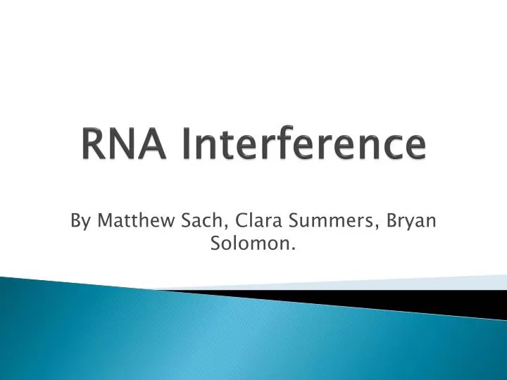 rna interference