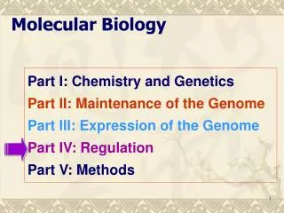 Molecular Biology
