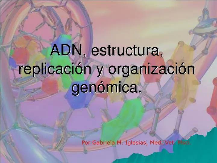adn estructura replicaci n y organizaci n gen mica