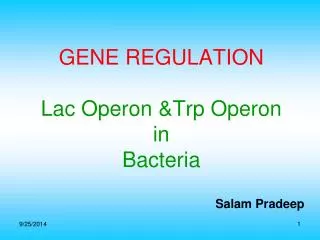 GENE REGULATION Lac Operon &amp;Trp Operon in Bacteria