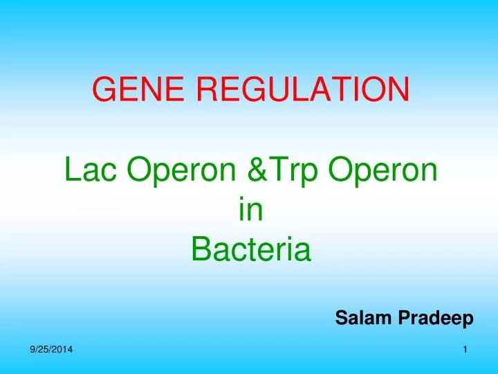 gene regulation lac operon trp operon in bacteria