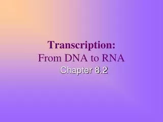 Transcription: From DNA to RNA