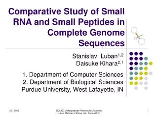 Comparative Study of Small RNA and Small Peptides in Complete Genome Sequences