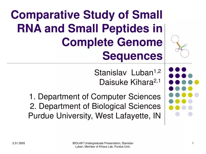 comparative study of small rna and small peptides in complete genome sequences