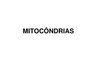 mitoc ndrias