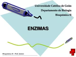 enzimas