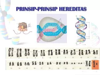 prinsip prinsip hereditas