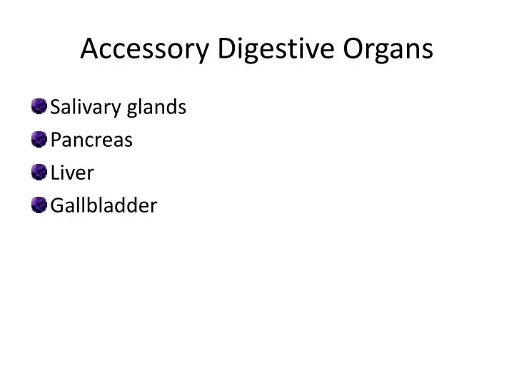 accessory digestive organs