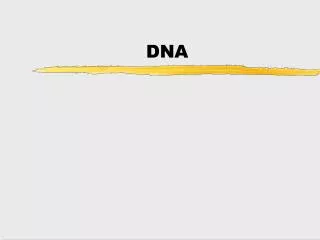 DNA