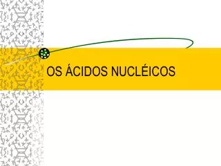 os cidos nucl icos