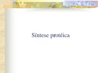 s ntese p r ot ica