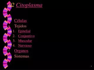 02 citoplasma