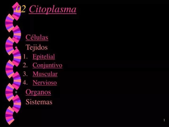 02 citoplasma
