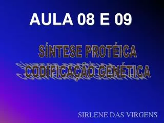 aula 08 e 09