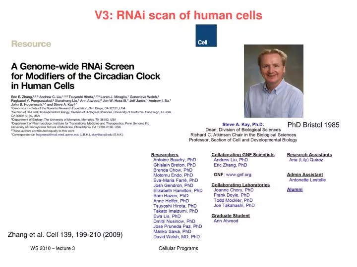 v3 rnai scan of human cells