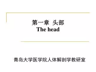 the head