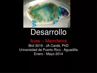 biolog a del desarrollo