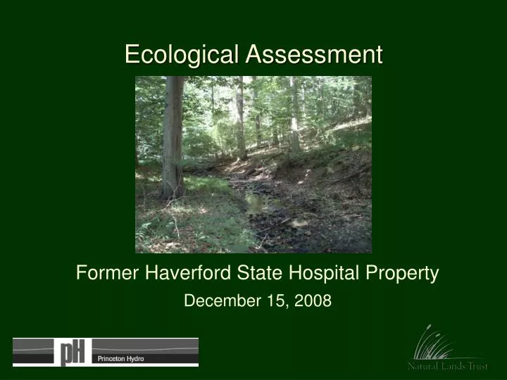ecological assessment