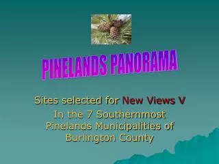 Sites selected for New Views V