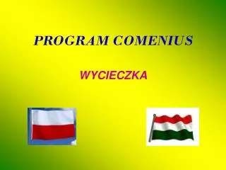 program comenius