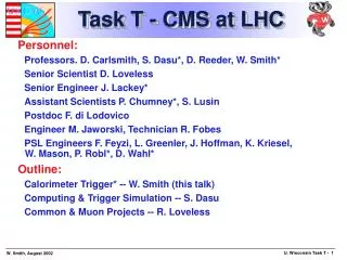 Task T - CMS at LHC
