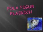 pola Figur płaskich - slide 1