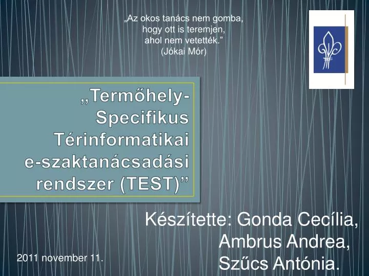 term hely specifikus t rinformatikai e szaktan csad si rendszer test