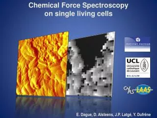 Chemical Force Spectroscopy on single living cells