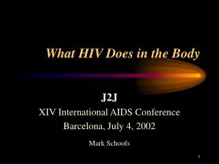 What HIV Does in the Body