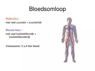 bloedsomloop