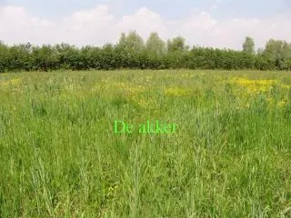 de akker