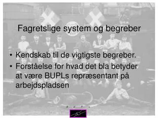 fagretslige system og begreber