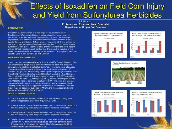 effects of isoxadifen on field corn injury and yield from sulfonylurea herbicides