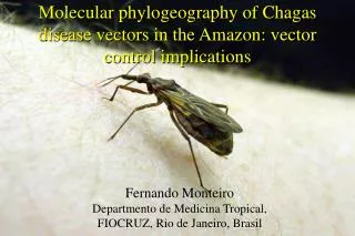 Molecular phylogeography of Chagas disease vectors in the Amazon: vector control implications