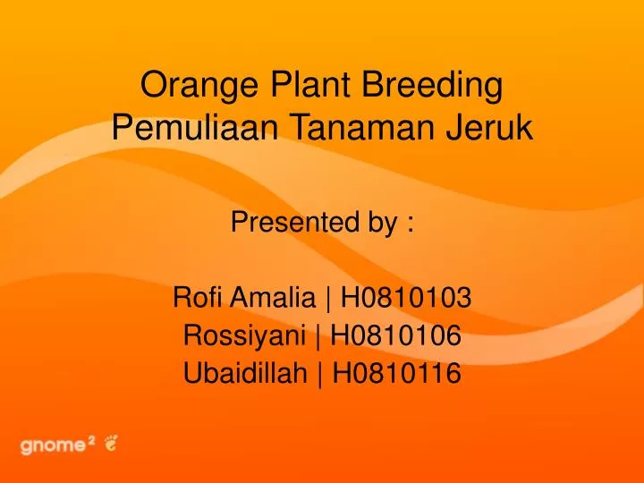 orange plant breeding pemuliaan tanaman jeruk