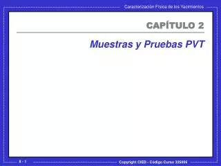 muestras y pruebas pvt
