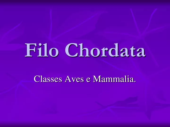 filo chordata