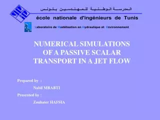 NUMERICAL SIMULATIONS OF A PASSIVE SCALAR TRANSPORT IN A JET FLOW