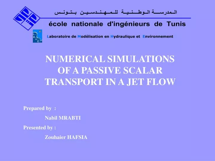 numerical simulations of a passive scalar transport in a jet flow